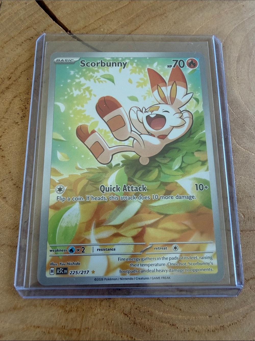 Scorbunny 225 IR from Ascended Heroes